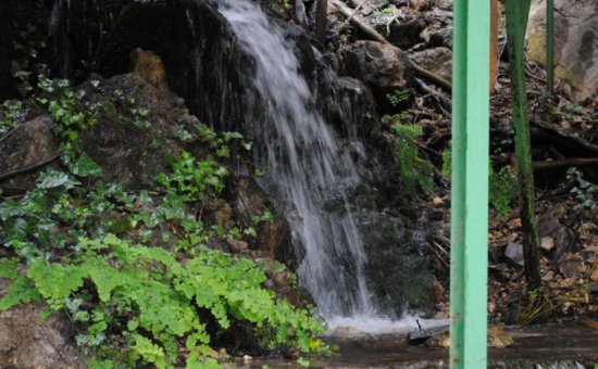 Saklıkent Restaurant fotoğrafları. Saklıkent yeme içme fotoğraf.
