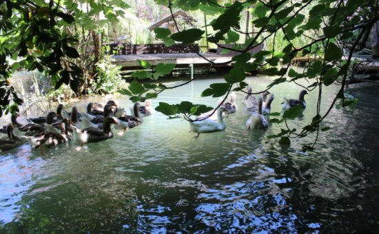 Saklıkent Restaurant fotoğrafları. Saklıkent yeme içme fotoğraf.