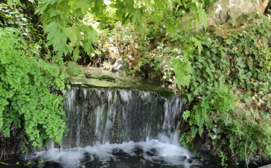 Saklıkent Restaurant fotoğrafları. Saklıkent yeme içme fotoğraf.